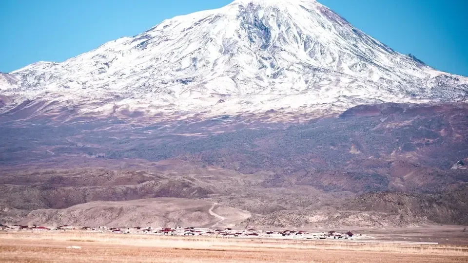 Aralık