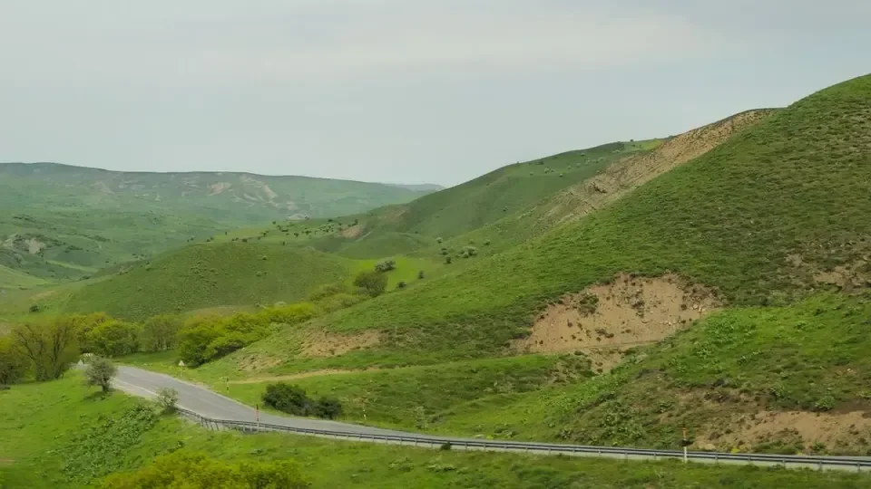 Bulanık