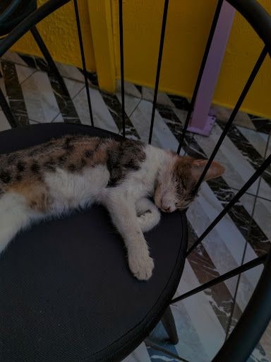 Yorum fotoğrafı 7