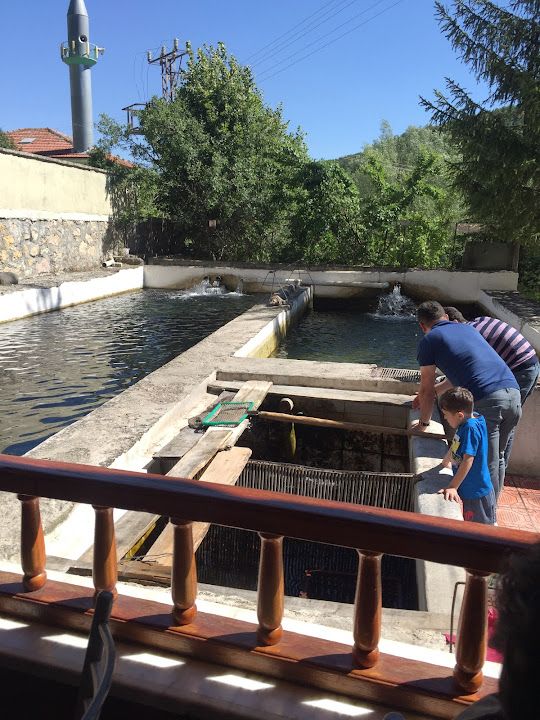 Erkocalar Alabalık