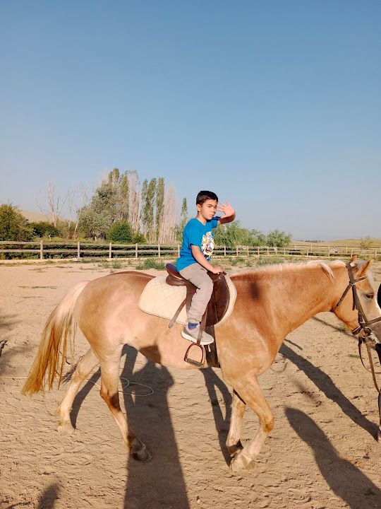 Yorum fotoğrafı 2