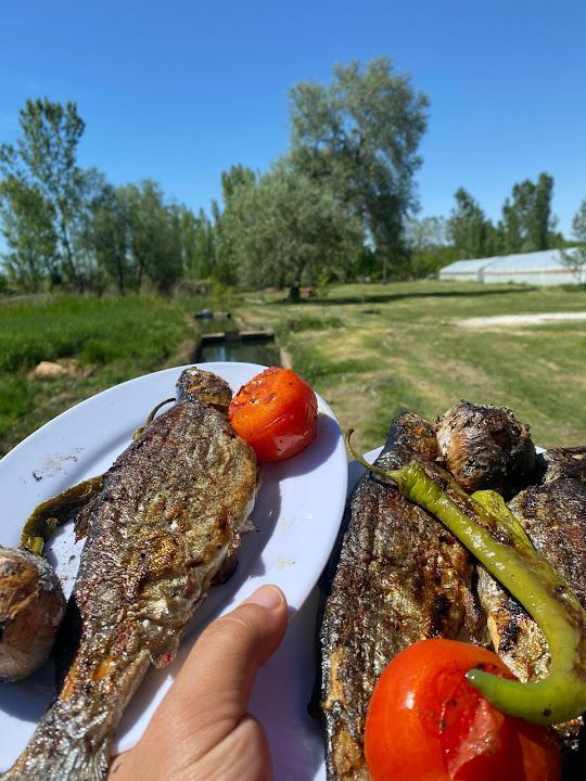 Pınararası Alabalık Tesisi