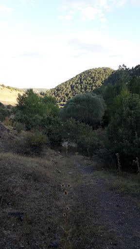 Yorum fotoğrafı 3