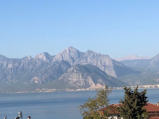 Fotoğraf 14