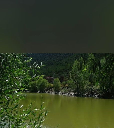 Yorum fotoğrafı 9