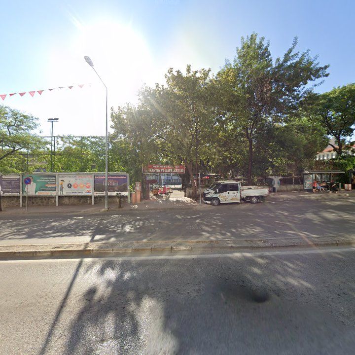 Fotoğraf 9