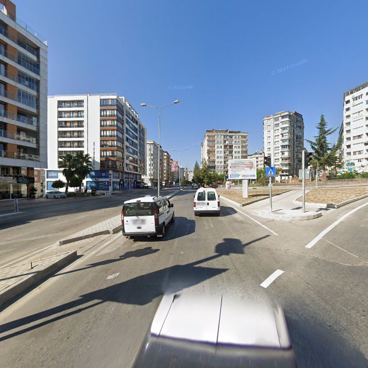 Fotoğraf 8