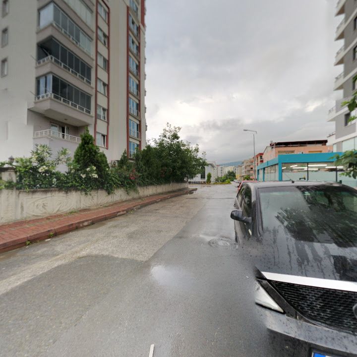 Fotoğraf 8