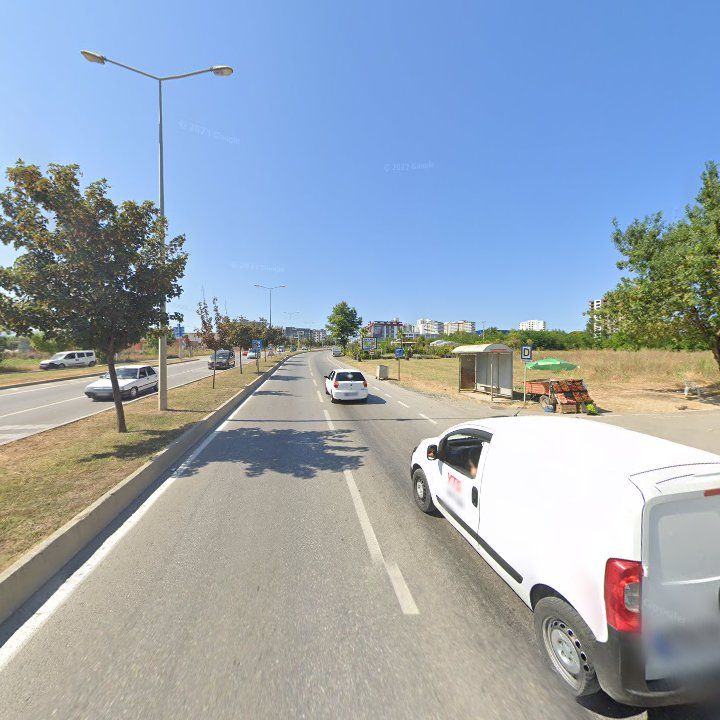 Fotoğraf 9