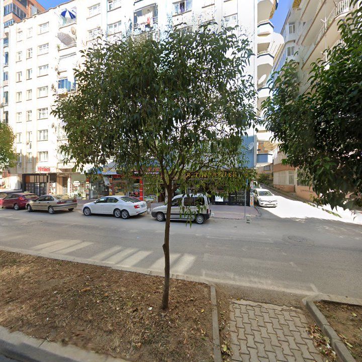 Fotoğraf 6