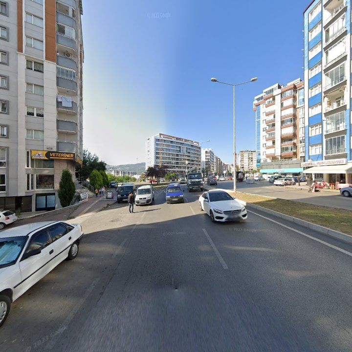 Fotoğraf 6
