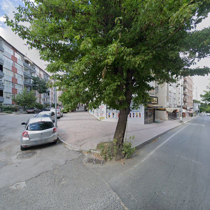Fotoğraf 10