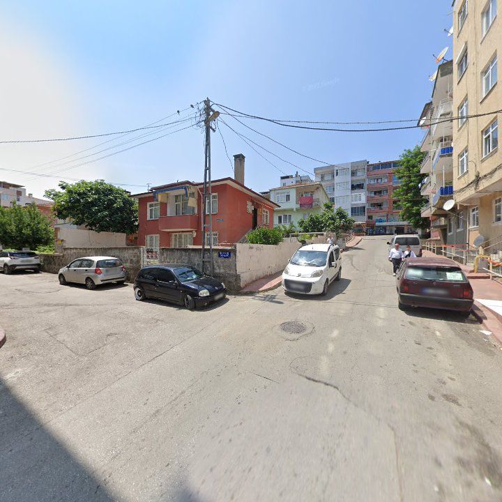 Fotoğraf 3