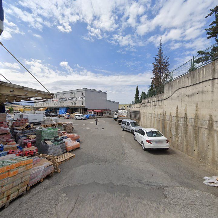 Fotoğraf 7