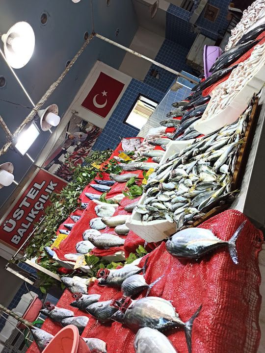 Fotoğraf 5