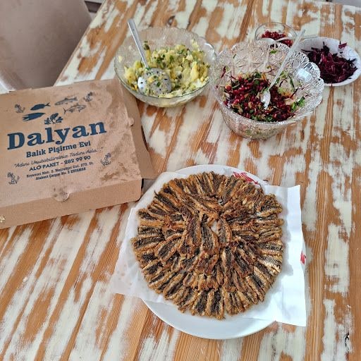 Yorum fotoğrafı 3