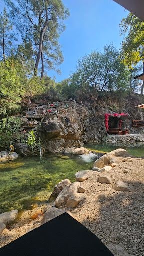 Yorum fotoğrafı 4