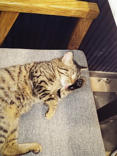Yorum fotoğrafı 2