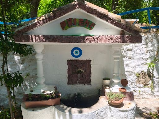 Fotoğraf 20