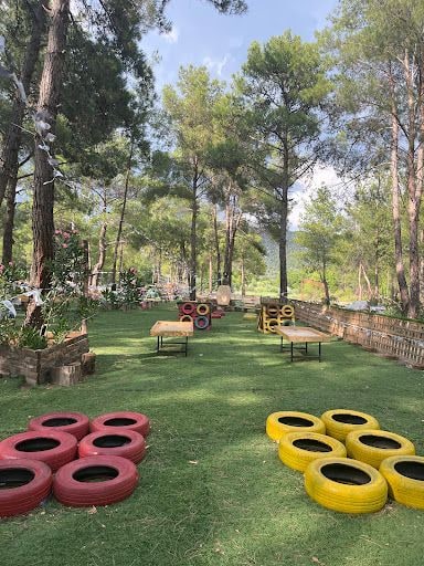 Fotoğraf 26