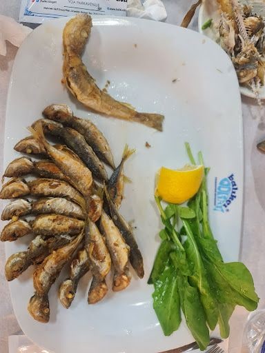 Yorum fotoğrafı 1