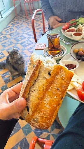 Fotoğraf 20