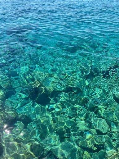 Yorum fotoğrafı 5