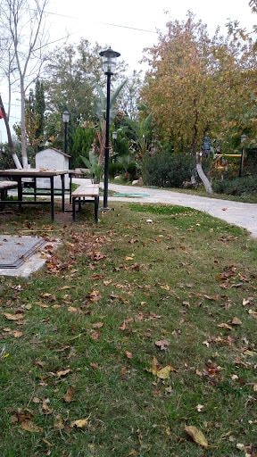 Fotoğraf 20
