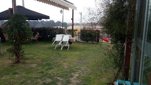 Fotoğraf 22