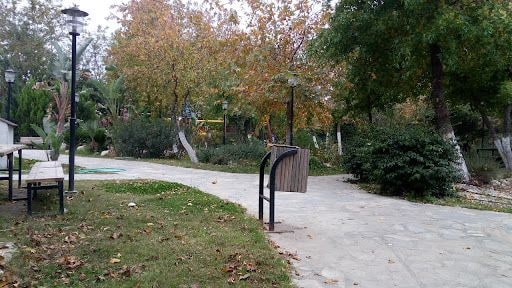 Fotoğraf 25