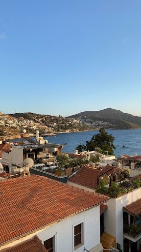 Yorum fotoğrafı 8