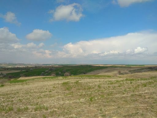 Yorum fotoğrafı 6