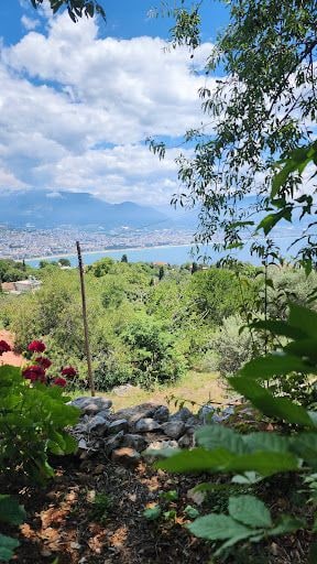 Yorum fotoğrafı 4