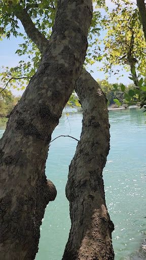 Yorum fotoğrafı 5