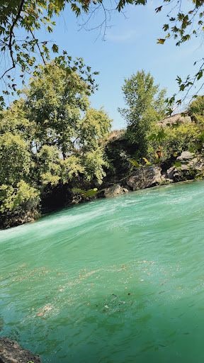 Yorum fotoğrafı 7