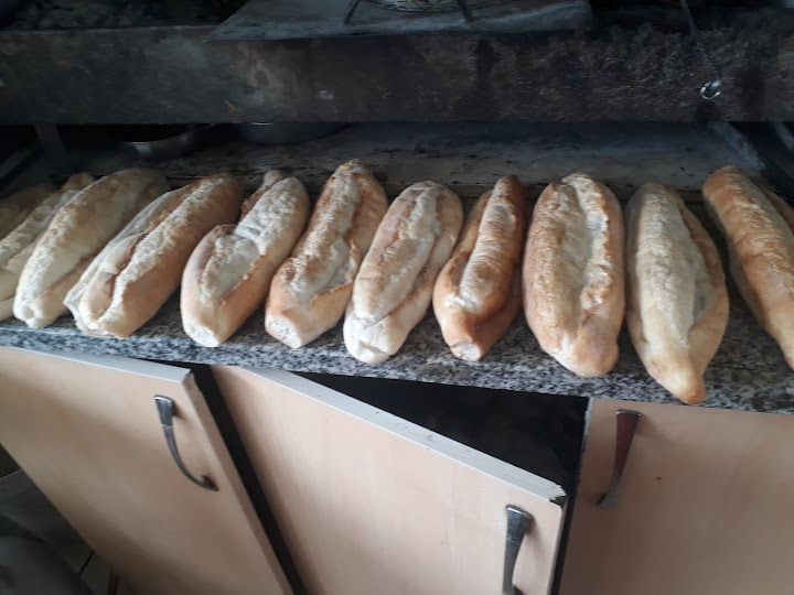 Fotoğraf 10