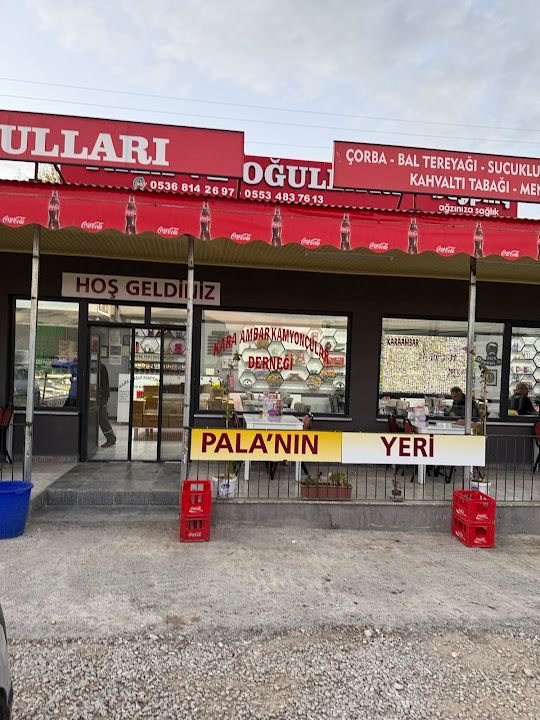 Palanın Yeri
