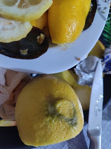 Yorum fotoğrafı 8