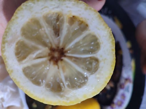 Yorum fotoğrafı 9