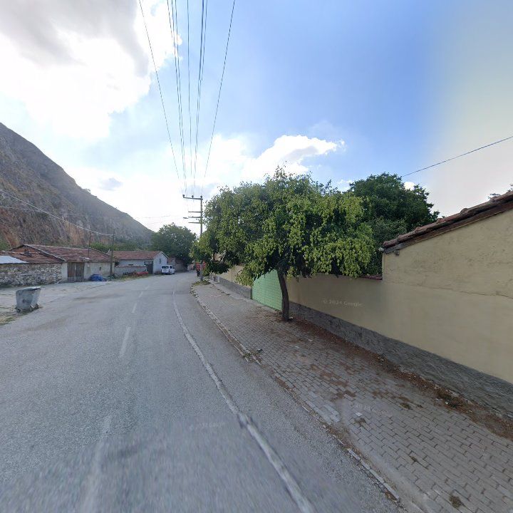 Fotoğraf 6