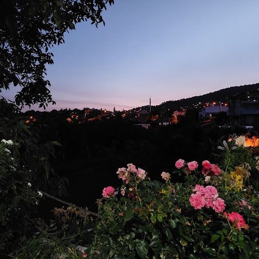 Fotoğraf 7