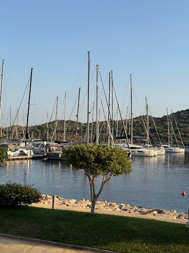 Yorum fotoğrafı 5