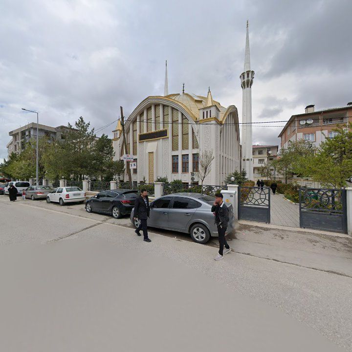 Fotoğraf 7