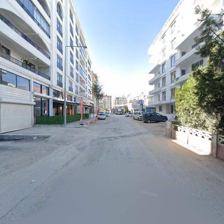 Fotoğraf 15