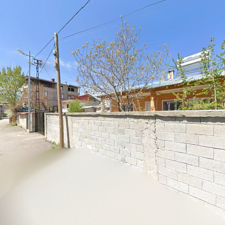 Fotoğraf 10