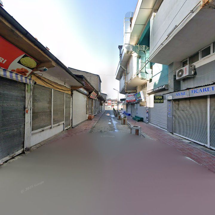 Fotoğraf 7