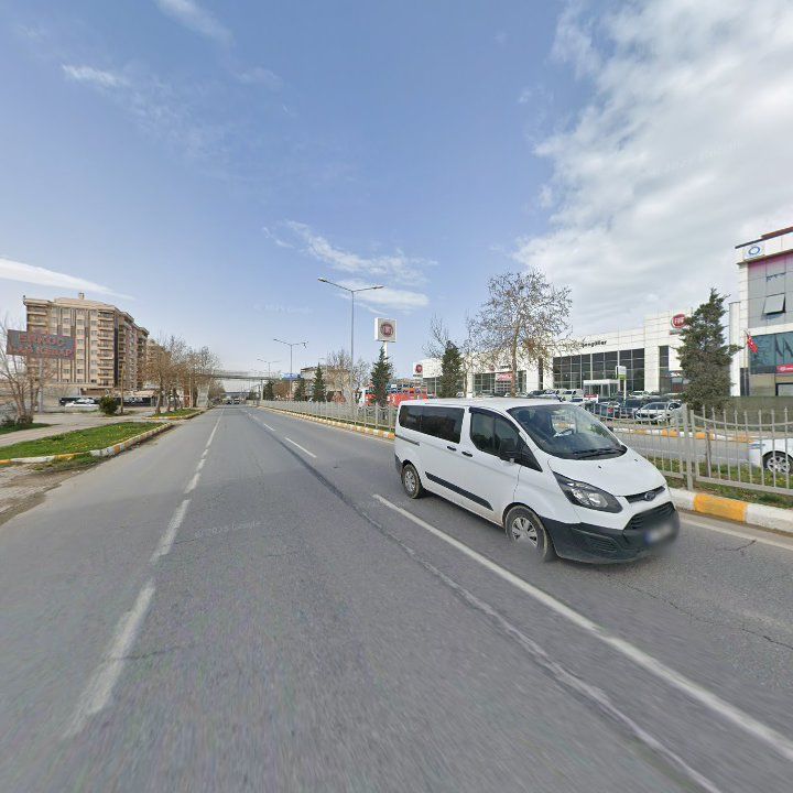 Fotoğraf 10