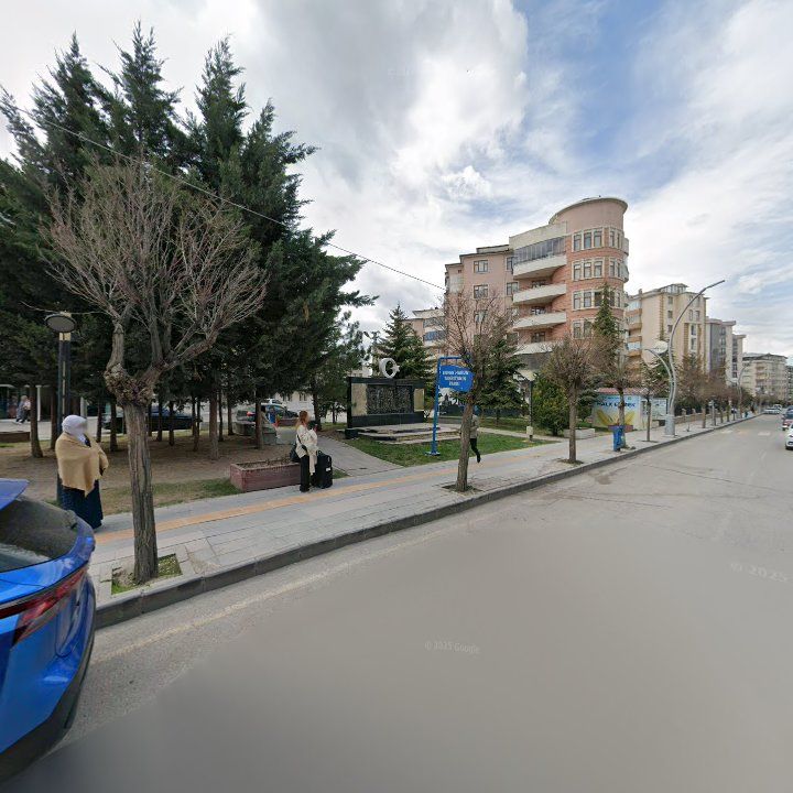 Fotoğraf 8