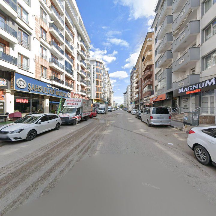 Fotoğraf 10