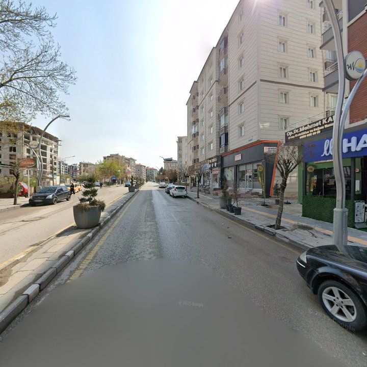 Fotoğraf 10